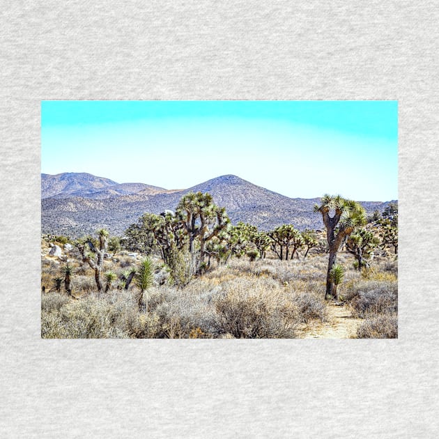 Joshua Tree National Park, California by Gestalt Imagery